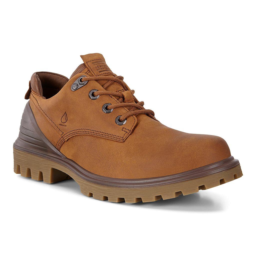 Ecco Tredtray Mens Outdoor Boots Brown Sale - India QYC-570423